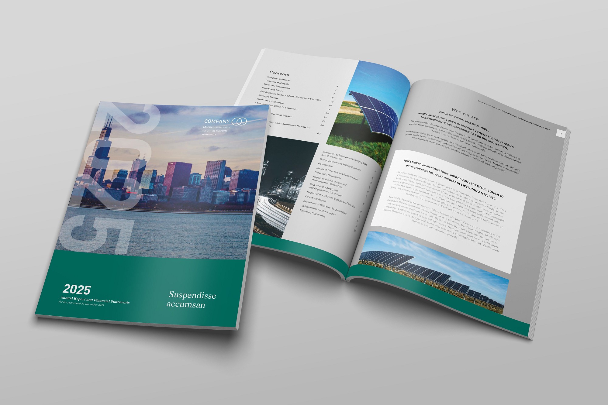 Want a stunning Annual Report - without the premium price tag?  We’ve got you covered.